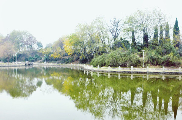 QQͼƬ20151122151154.jpg