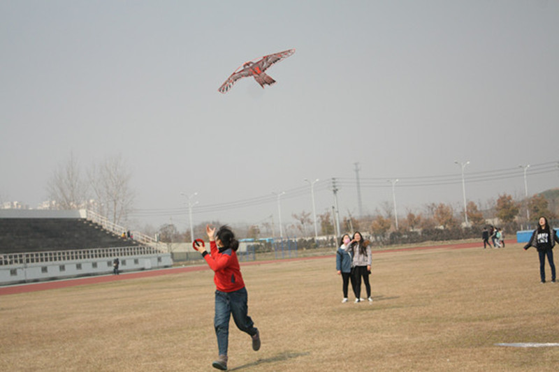 IMG_6136[1]__.jpg